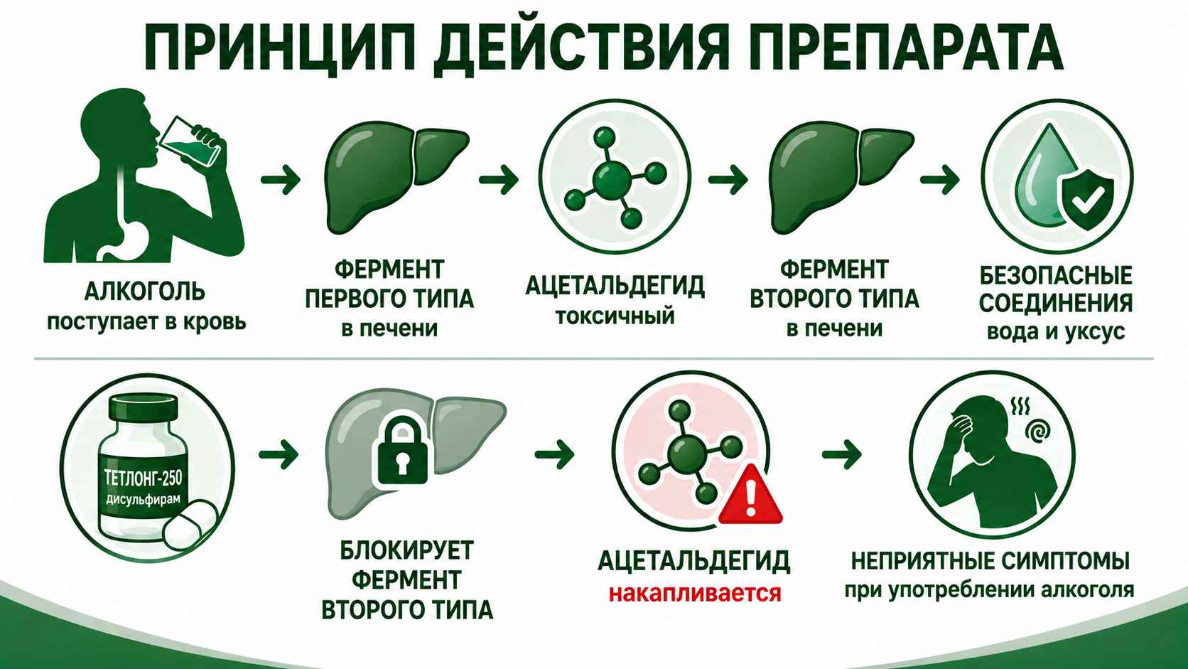 Схема принципа действия препарата Тетлонг-250: превращение этилового спирта в ацетальдегид, блокировка его дальнейшего расщепления дисульфирамом, накопление токсичного вещества и развитие неприятных симптомов при употреблении алкоголя.